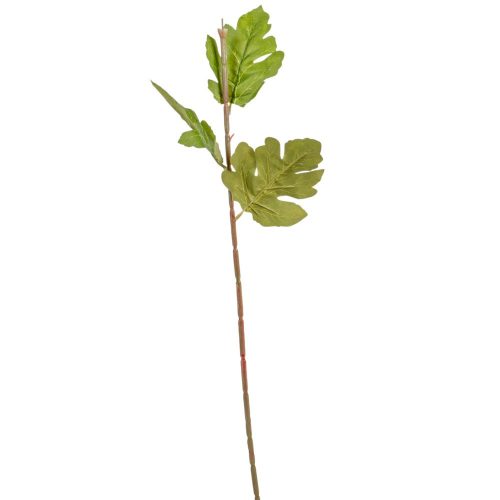 Krizantém szár M68cm