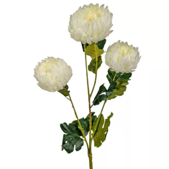 Krizantém ág 3v. krém M60cm 40db/#
