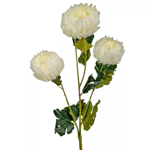Krizantém ág 3v. krém M60cm 40db/#