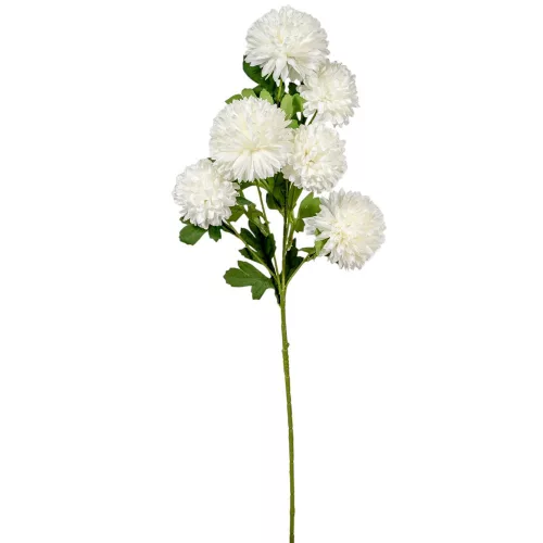 Krizantém ág 6v. krém M68cm 24db/#