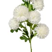 Krizantém ág 6v. krém M68cm 24db/#