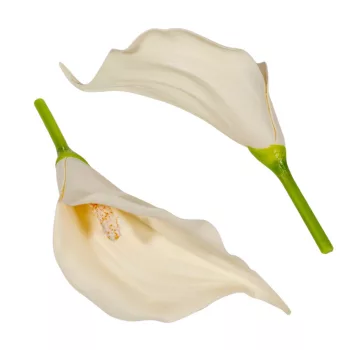 Kála virágfej polifoam CR 17cm 24db/csom