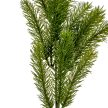 Fenyő ág zöld M49cm