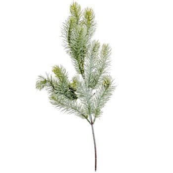 Fenyő ág hamvas M49cm
