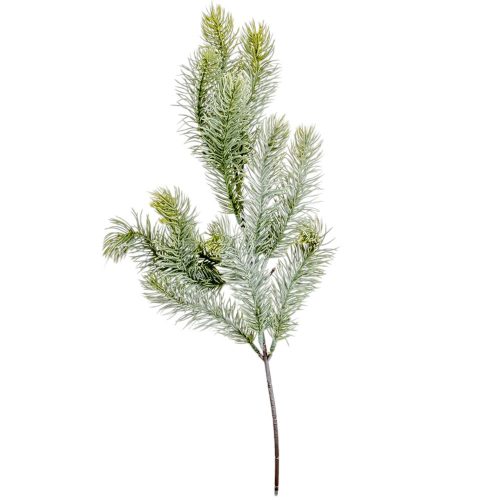 Fenyő ág hamvas M49cm