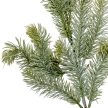 Fenyő ág hamvas M49cm