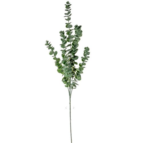 Eukaliptusz ág 90cm