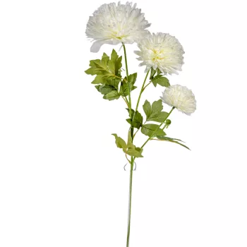 Krizantém ág 3v. krém M75cm 48db/#