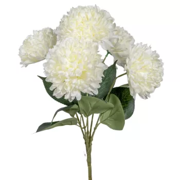 Krizantém csokor 5v. krém M47cm 24db/#