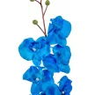 Orchidea ág kék M77cm 6db/köteg