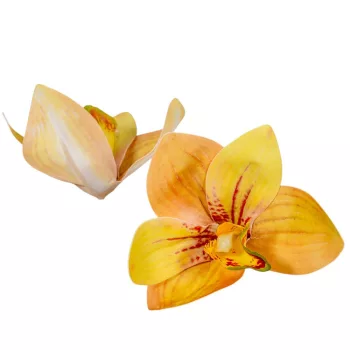 Orchidea virágfej gumi TLTBR D10cm 24db/csom