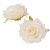 Rózsa virágfej krém D10cm 12db/csom