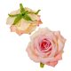 Rózsa virágfej krém-mályva D10cm 12db/csom