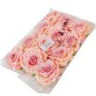 Rózsa virágfej krém-mályva D10cm 12db/csom