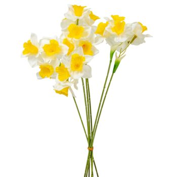 Nárcisz köteg 6virágos 45cm