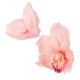 Orchidea virágfej 614 D10cm 20db/csom