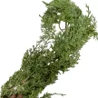 Tuja girland zöld 180cm
