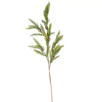 Tuja ág tobozzal zöld M85cm