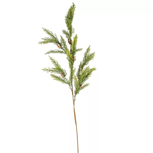 Tuja ág tobozzal zöld M85cm