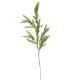 Tuja ág tobozzal zöld M85cm