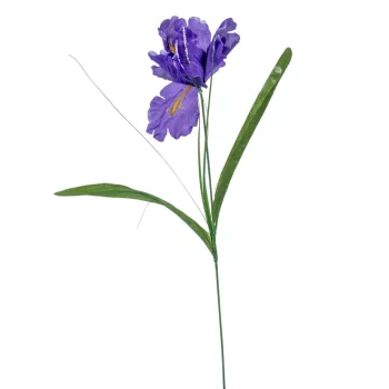 Írisz szálas lila 47cm 4 darabos csomagban rendelhető