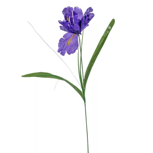 Írisz szálas lila 47cm 4 darabos csomagban rendelhető
