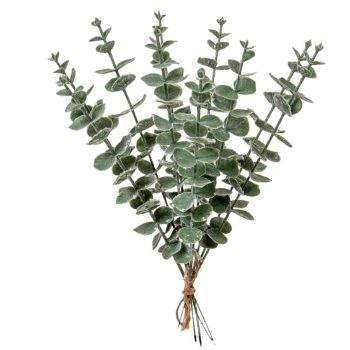 Eukaliptusz köteg hamvas 10ágú M35cm