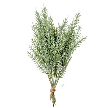 Tuja köteg deres 12ágú M26cm