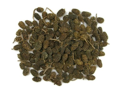 Termés csomag - Éger óriás natúr - Casuarina 20 db/cs.