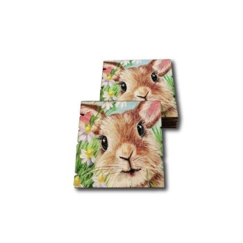 Fa tábla - Nyuszipofi