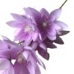 Selyemvirág - Margaréta szál - lila