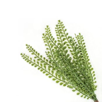 ÁGAK LEVELEK FÜVEK